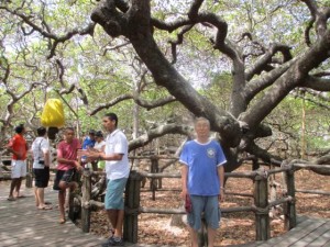 ba183d2113fe3bee502aa27f09e2af04086e779d.38.2.9.2